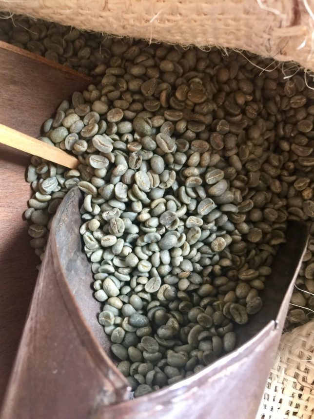 re:store venice coffee beans